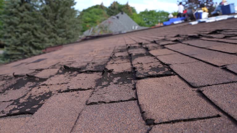 Best Flat Roofing  in Frazer, PA