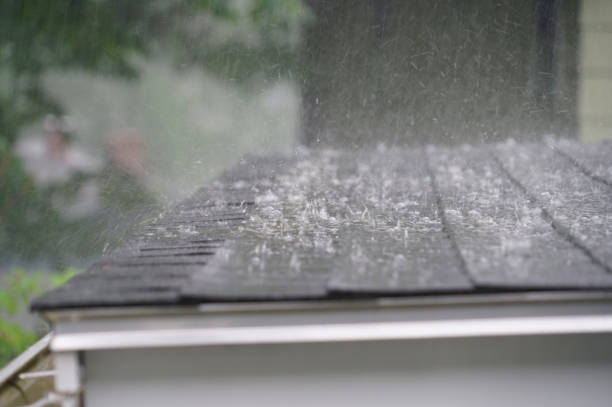Best Skylight Installation and Repair  in Frazer, PA