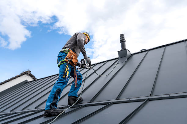 Best Chimney Flashing Repair  in Frazer, PA